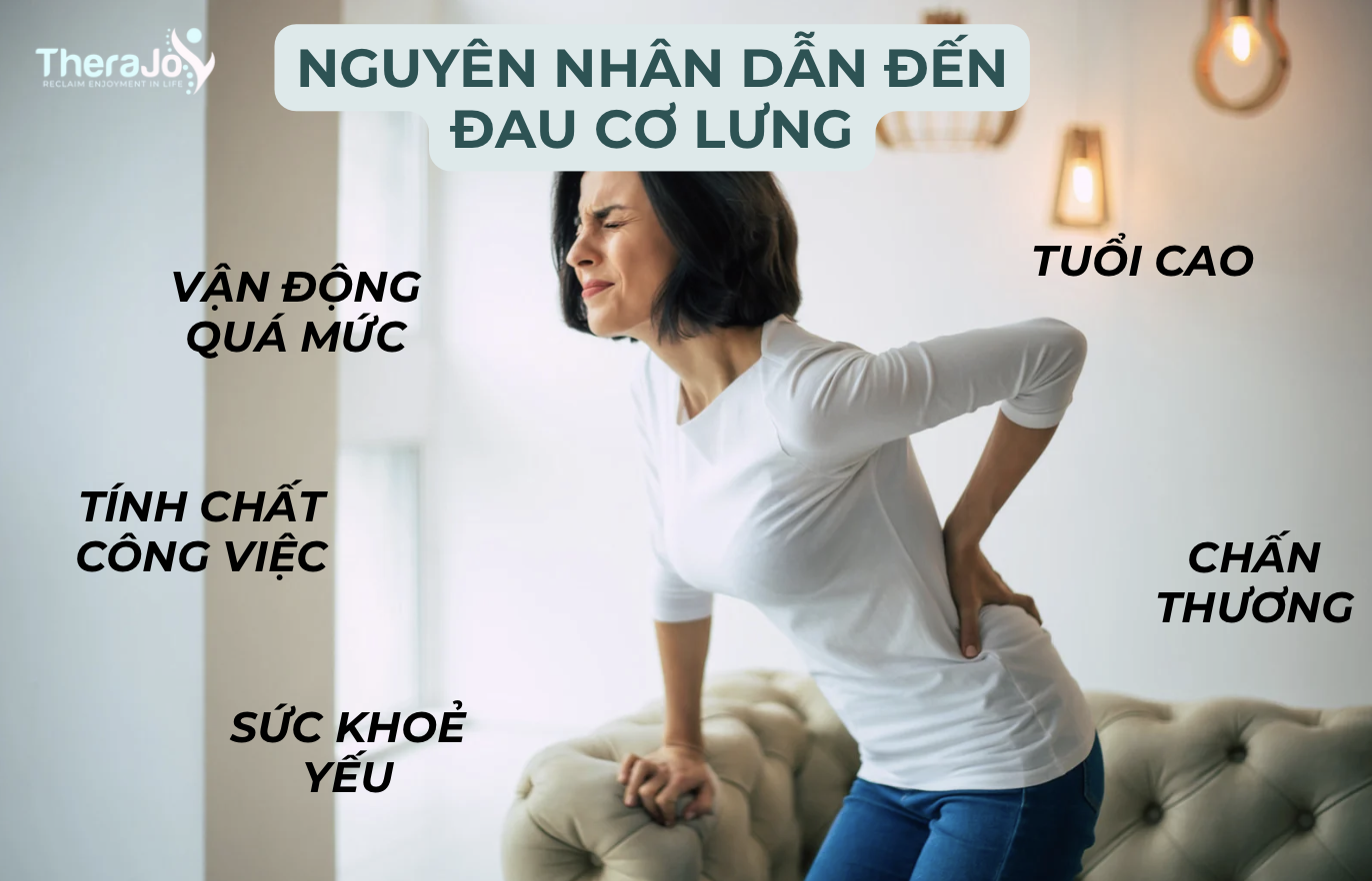 ĐAU CƠ LƯNG là bệnh gì? Các vị trí đau cơ lưng